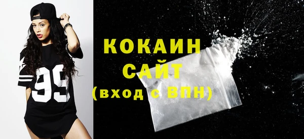 шишки Верхний Тагил