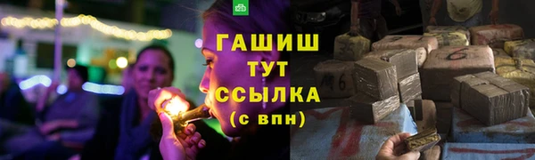 шишки Верхний Тагил