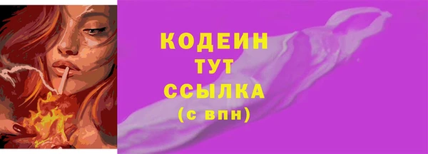 шишки Верхний Тагил