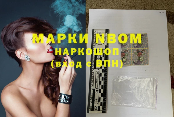шишки Верхний Тагил