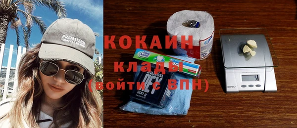 шишки Верхний Тагил