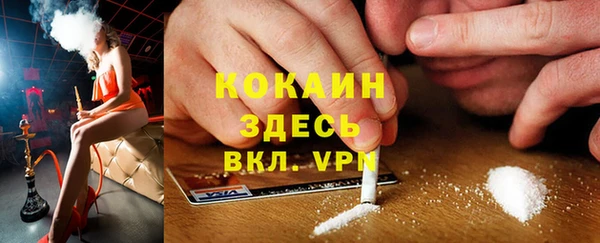 шишки Верхний Тагил