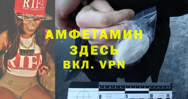 шишки Верхний Тагил